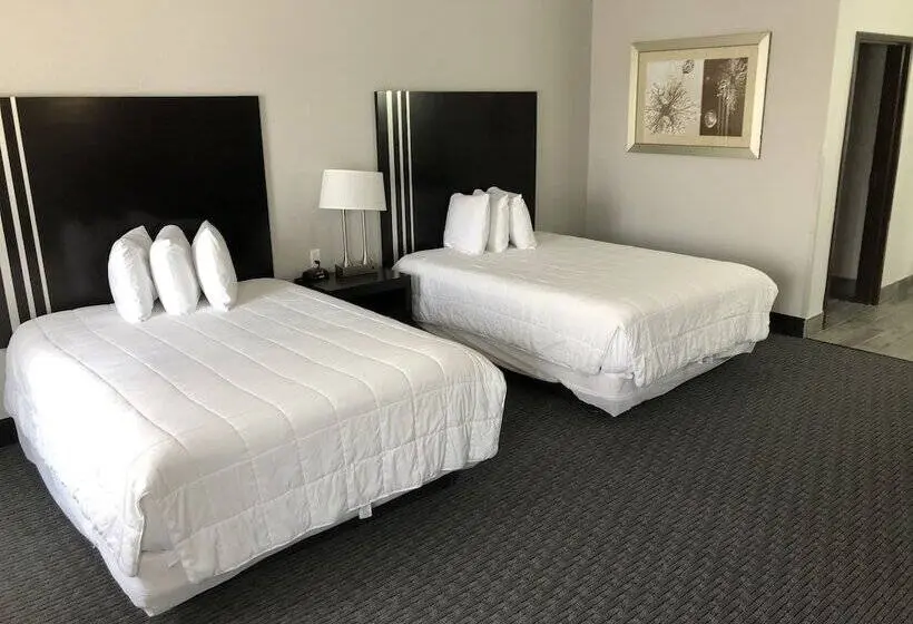 身障者適用スタンダードルーム, Lea County Inn