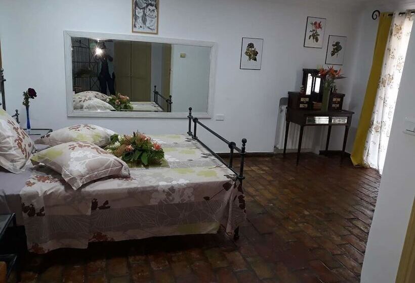 سوییت, Dar Kamy