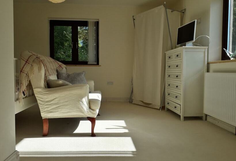 חדר סטנדרט, Melin Tregib