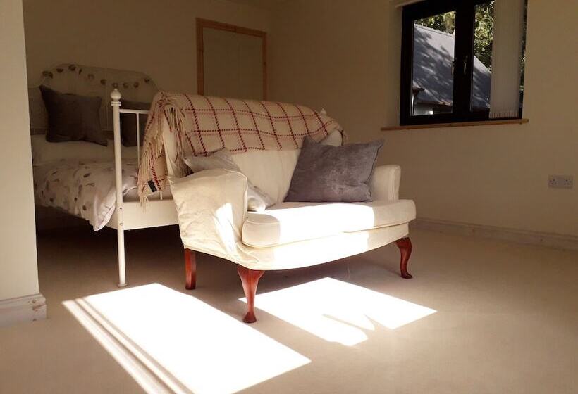 חדר סטנדרט, Melin Tregib