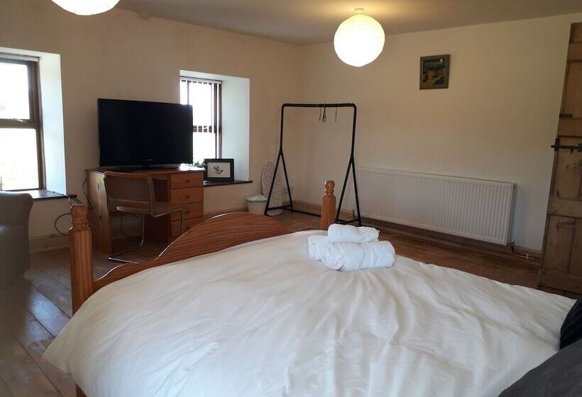 חדר סטנדרט, Melin Tregib