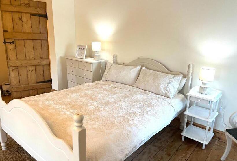 חדר סטנדרט, Melin Tregib