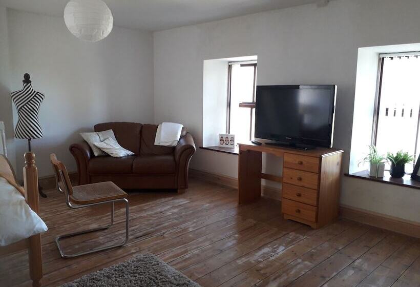 חדר סטנדרט, Melin Tregib