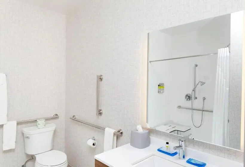 身障者適用キングサイズベッドルーム, Holiday Inn Express & Suites   Gilbert   East Mesa, An Ihg
