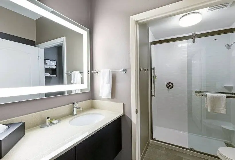 スイート, Staybridge Suites Houston Iah Airport East, An Ihg