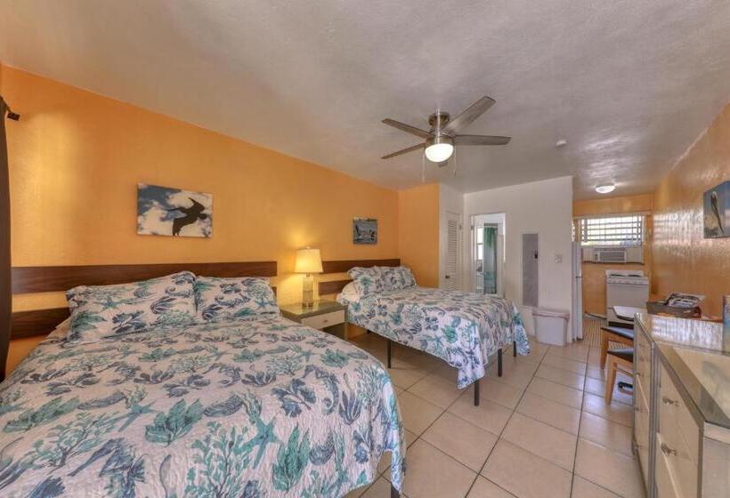 إستوديو قياسى, Sand Vista Vacation Rentals