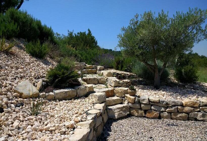 高级大房间, Les Agaves