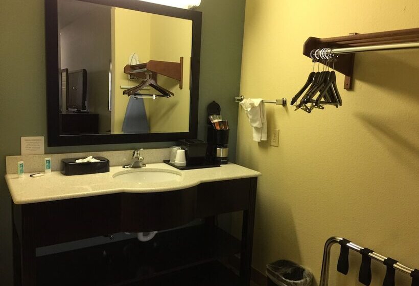 Номер Стандарт 2 Двуспальные Кровати, Pearsall Inn And Suites