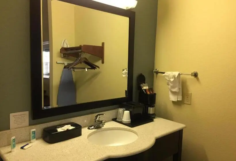 キングサイズベッドのスタンダードルーム, Pearsall Inn And Suites