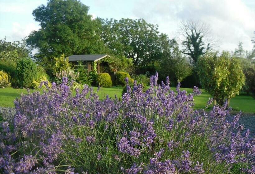 스탠다드 룸 1층, Moor View