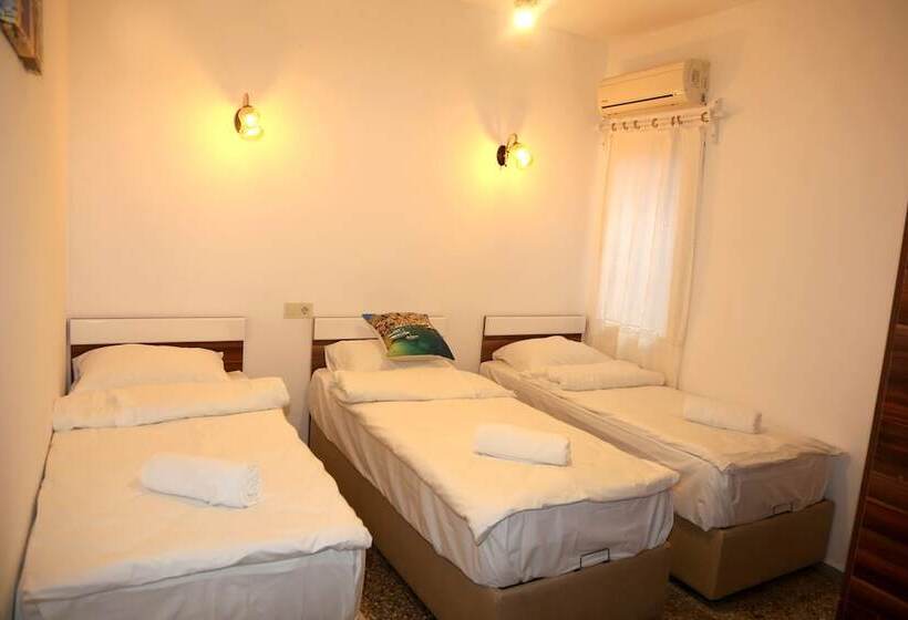 اتاق استاندارد سه نفره, Halikarnas Pansiyon