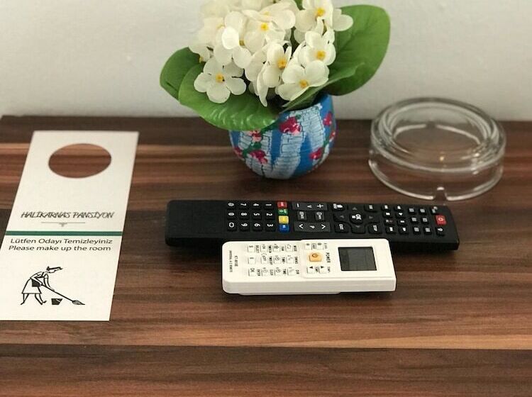 اتاق استاندارد سه نفره, Halikarnas Pansiyon