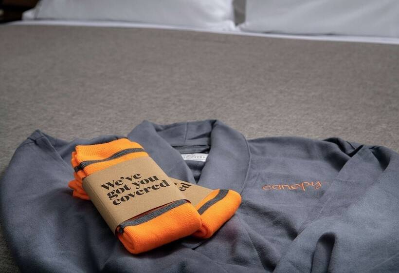 غرفة قياسية لذوى الاحتياجات الخاصة, Canopy By Hilton Ithaca Downtown