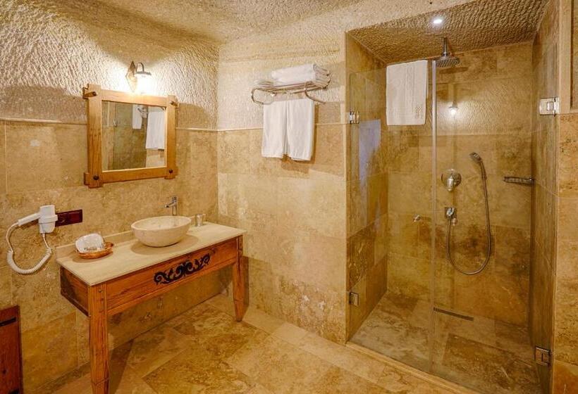 スタンダードルーム, Design Cave