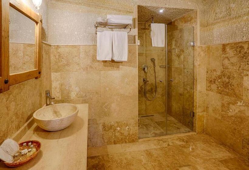 スタンダードルーム, Design Cave