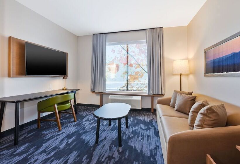 Suite, Fairfield Inn & Suites By Marriott Cincinnati Airport South/florence