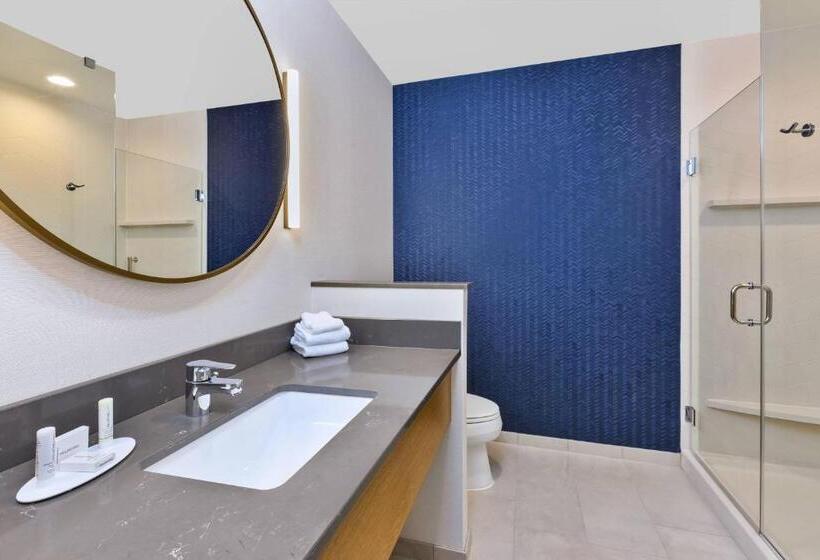 Habitació Estàndard Llit King, Fairfield Inn & Suites By Marriott Cincinnati Airport South/florence