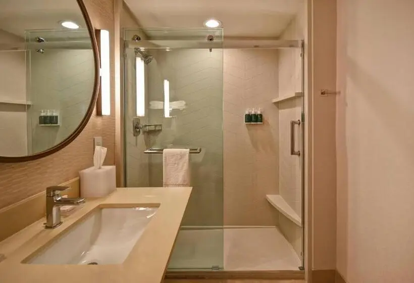 スタンダードルーム, Fairfield Inn & Suites By Marriott Milwaukee North
