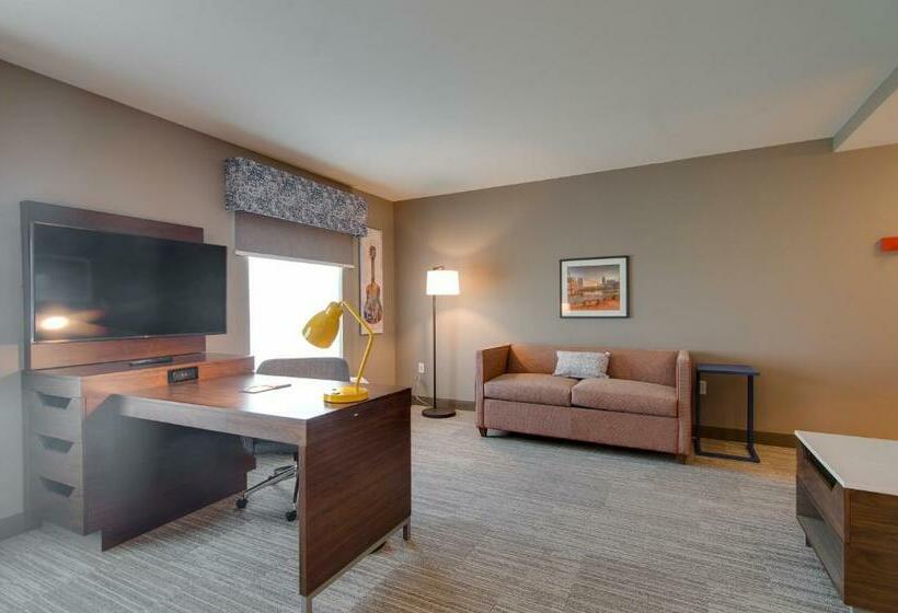 キングサイドベッドのスタンダードワンルーム, Hampton Inn & Suites Nashville North Skyline