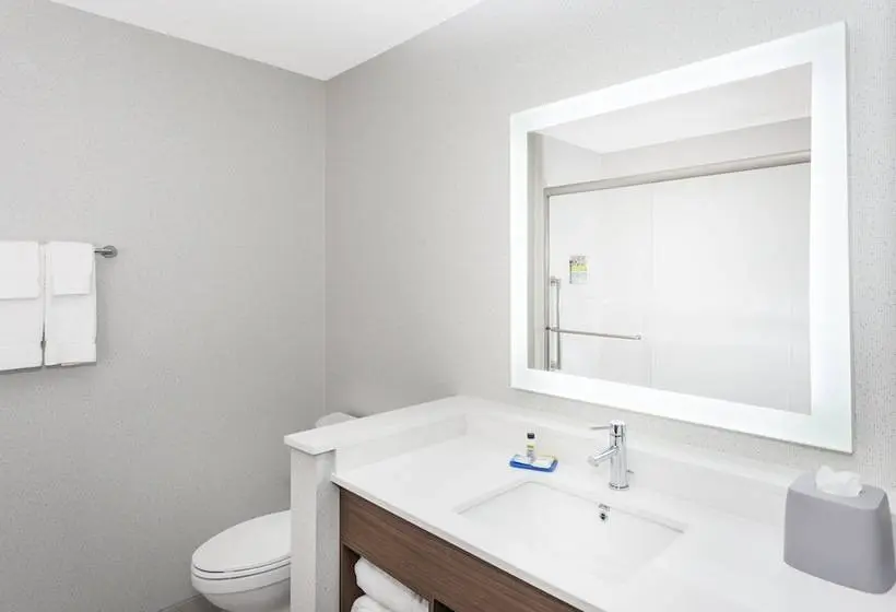 スイート, Holiday Inn Express & Suites Hudson I 94, An Ihg
