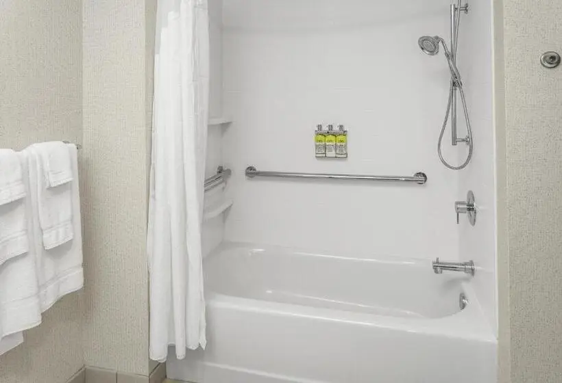 身障者適用キングサイズベッドルーム, Holiday Inn Express & Suites Hudson I 94, An Ihg
