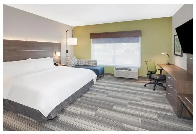 身障者適用キングサイズベッドルーム, Holiday Inn Express & Suites   Hudson I 94, An Ihg