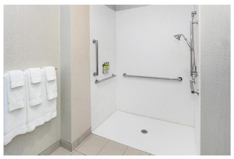 Standard Værelse King-seng Tilpasset til Handicappede, Holiday Inn Express & Suites   Hudson I 94, An Ihg