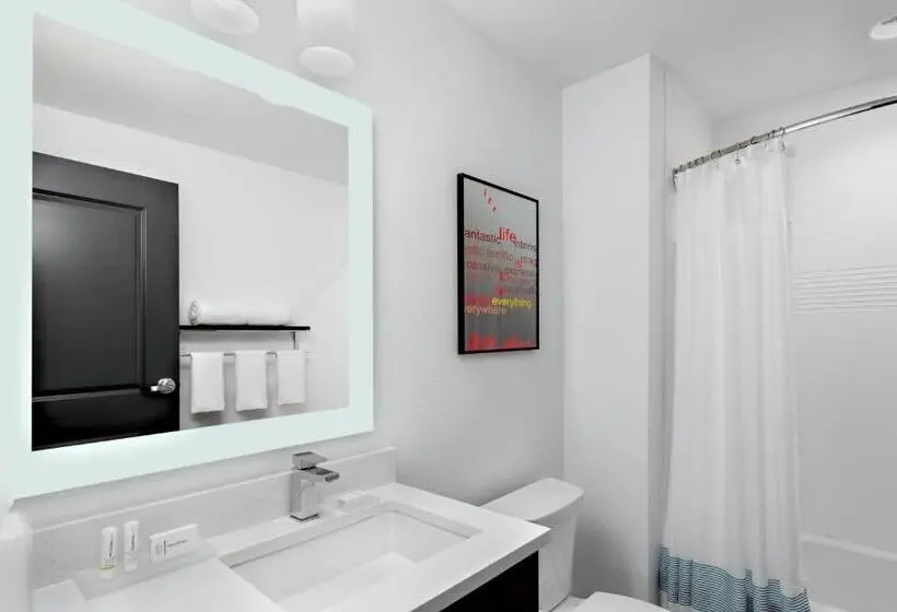 スタンダードスタジオ, Towneplace Suites By Marriott Loveland Fort Collins