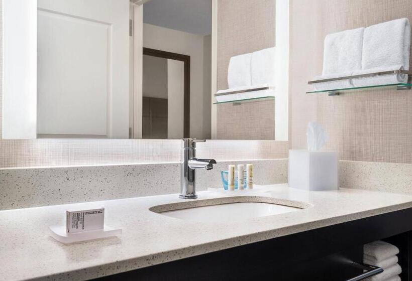 Люкс Кровать Кинг, Residence Inn By Marriott Des Moines Ankeny