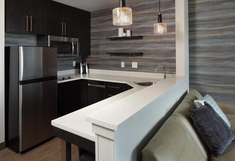 استودیو استاندارد با تخت کینگ, Residence Inn By Marriott Des Moines Ankeny