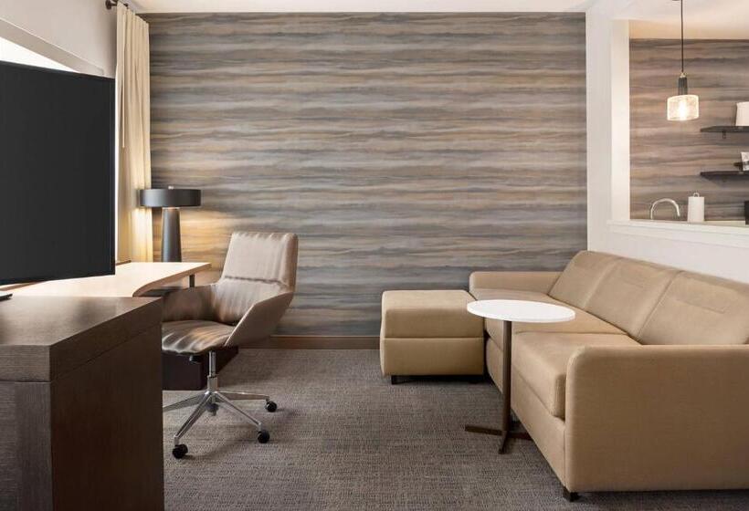 استودیو استاندارد با تخت کینگ, Residence Inn By Marriott Des Moines Ankeny
