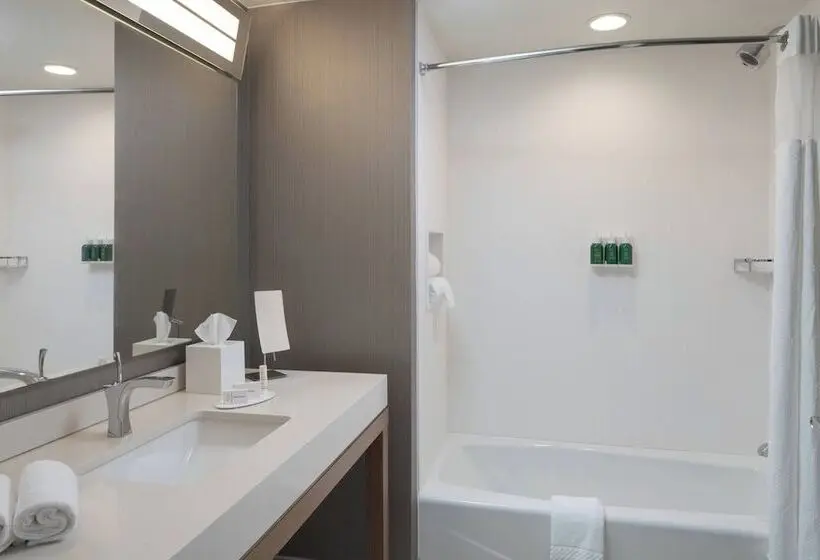 اتاق استاندارد, Courtyard By Marriott Lafayette South