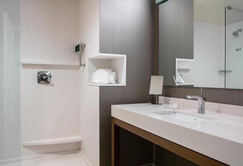 Стандартный Номер Кровать Кинг, Courtyard Sioux City Downtown/convention Center