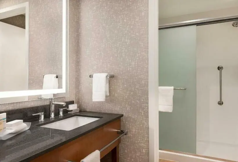 ビュー有りのスタンダードワンルーム, Homewood Suites By Hilton Wilmington Downtown
