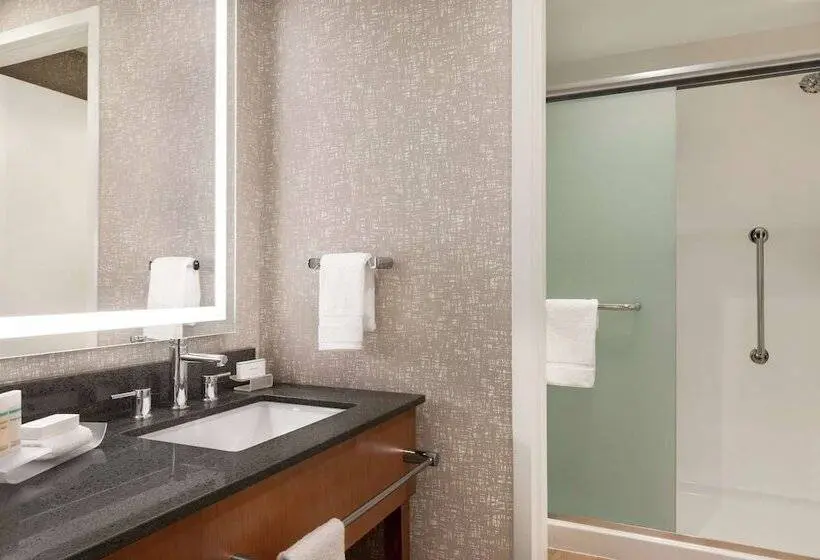 ダブルベッドのスタンダードスタジオ, Homewood Suites By Hilton Wilmington Downtown