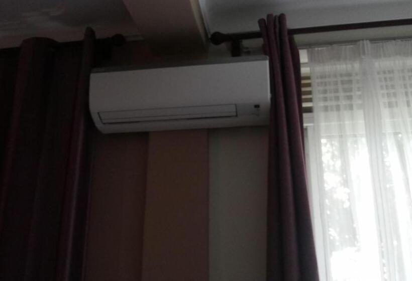 اتاق سوپریور با تخت بزرگ, Pauline Hotel Lira