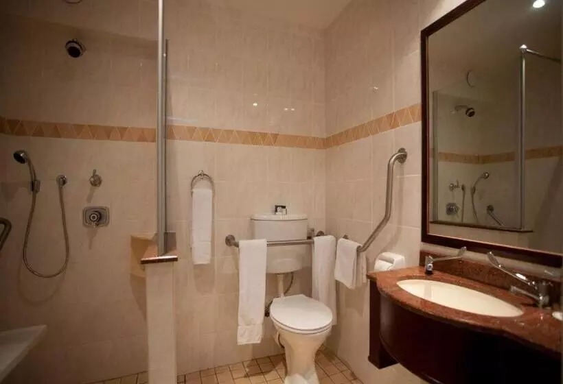 身障者適用スタンダードルーム, Town Lodge Bellville