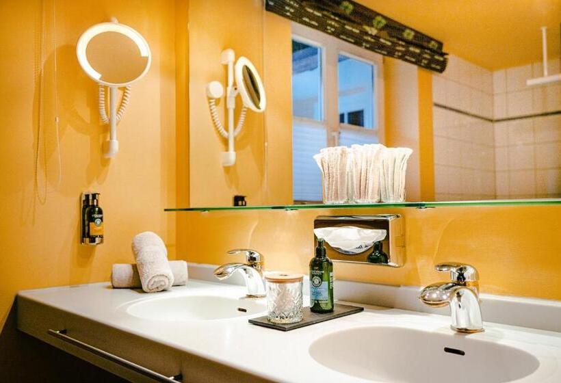 ビュー有りのスタンダードワンルーム, Alpenkonig