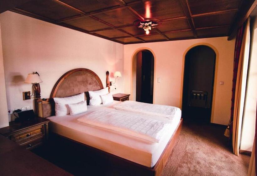 ビュー有りのスタンダードワンルーム, Alpenkonig