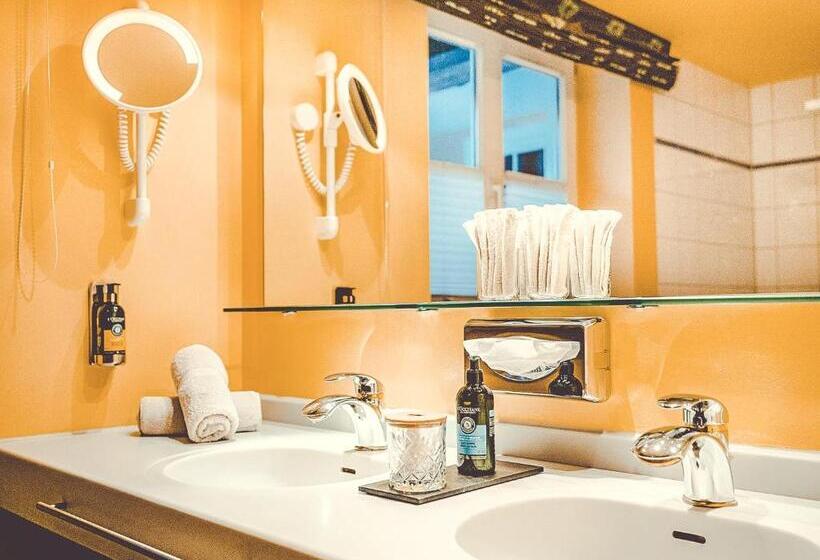 ビュー有りのスタンダードワンルーム, Alpenkonig