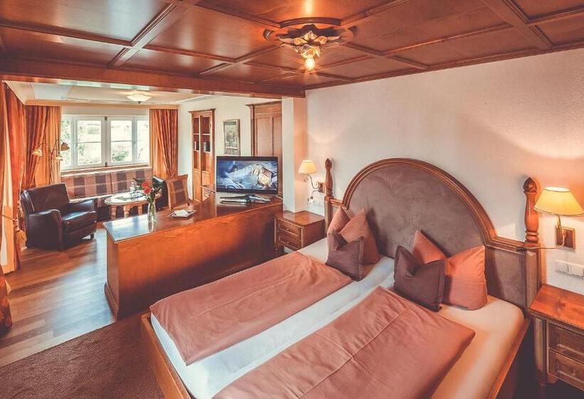 ビュー有りのスタンダードワンルーム, Alpenkonig