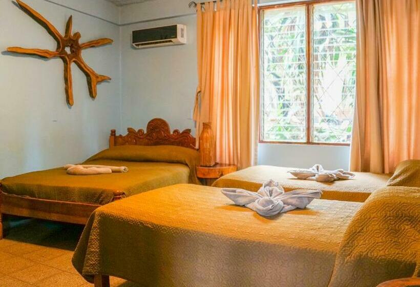 四人标准间, Boruca Tamarindo