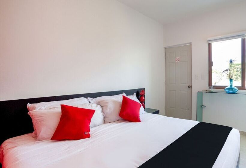 スーペリアールーム, Quinta Santa Anita