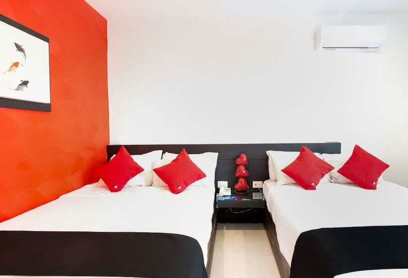 スタンダードルーム, Quinta Santa Anita