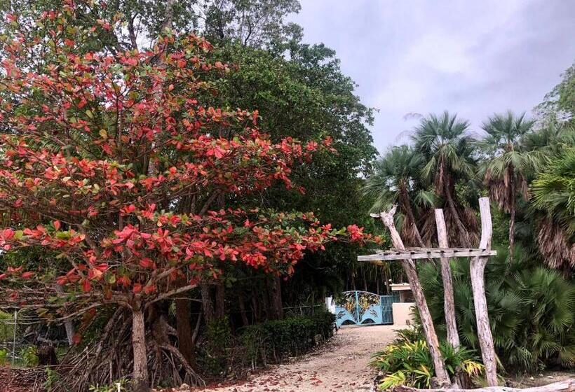 オーシャンビュースイート, Seaside Chateau Resort