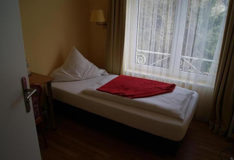 シングルベーシックルーム, Villa Kisseleff