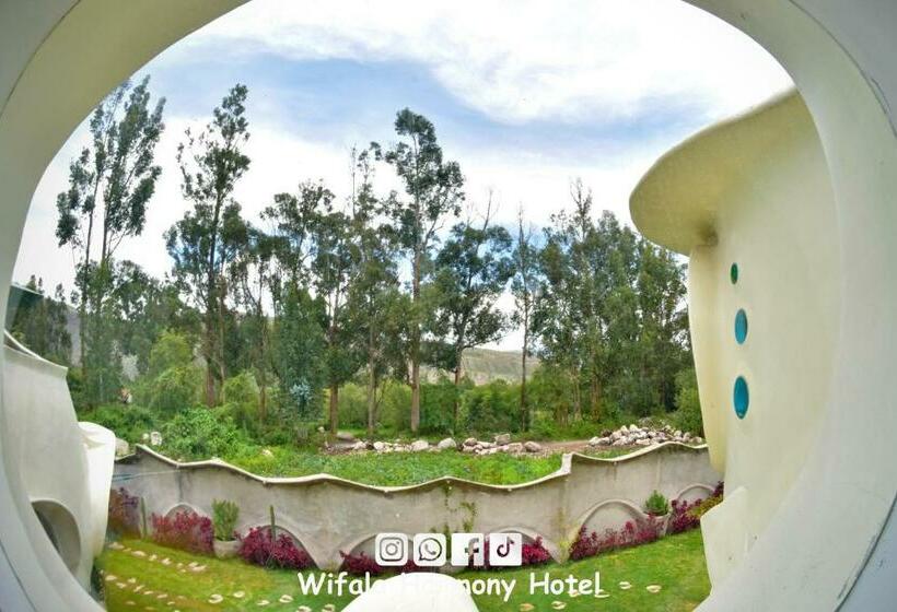 Junior Süit, Wifala Harmony