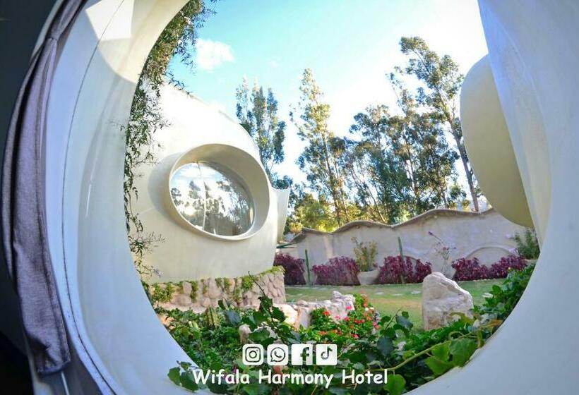 Standart Oda, Wifala Harmony