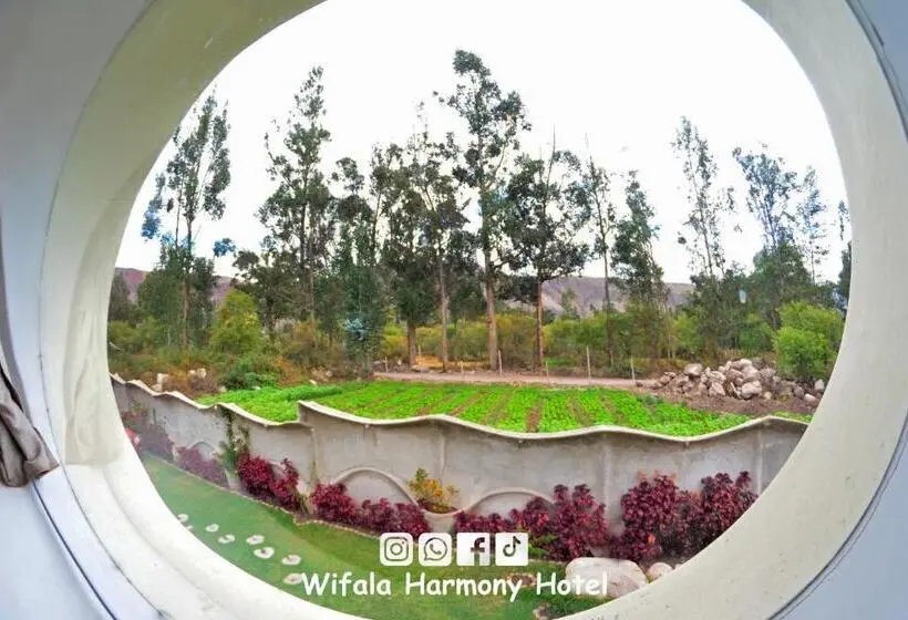Junior Suite, Wifala Harmony