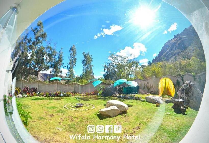 Superior Oda, Wifala Harmony